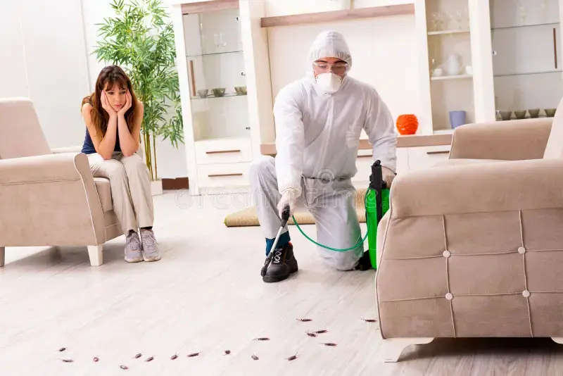 Young professional contractor doing pest control flat 145345208