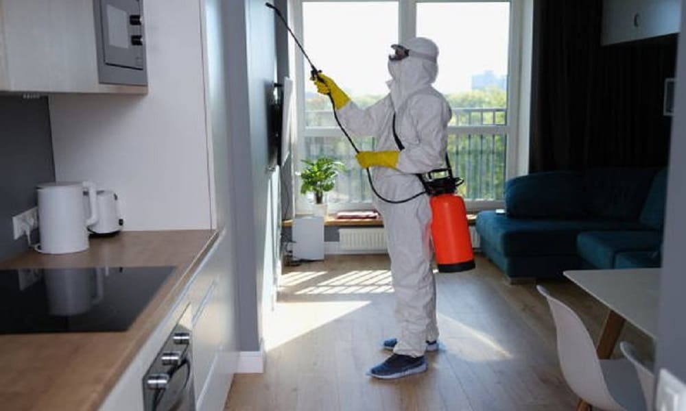شركة مكافحة حشرات وقوارض